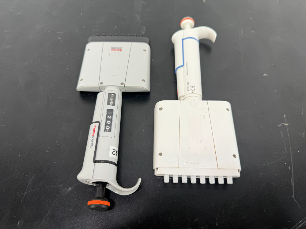 Image of Thermo Fisher F1-ClipTip Multi Channel Pipettes